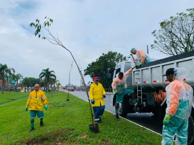 SEMANA DO MEIO AMBIENTE: AmazonFort comemorou com ação para colaboradores e comunidade   Rondoniaovivo.com