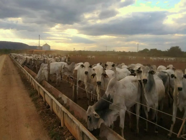 INFORMAÇÕES: Centro Sul de Rondônia recebe a terceira rota do Confina Brasil 2022   Rondoniaovivo.com