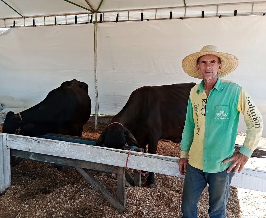 Pioneiro na produção de leite e silagem no JK, Alemão fala sobre as melhorias alcançadas