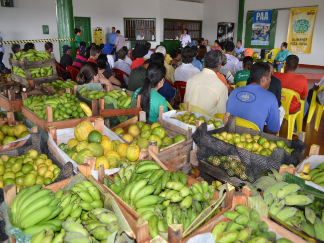 Agricultura   Programas de aquisição de alimentos garantem renda a centenas de agricultores familiares   Governo do Estado de Rondônia     		Governo do Estado de Rondônia