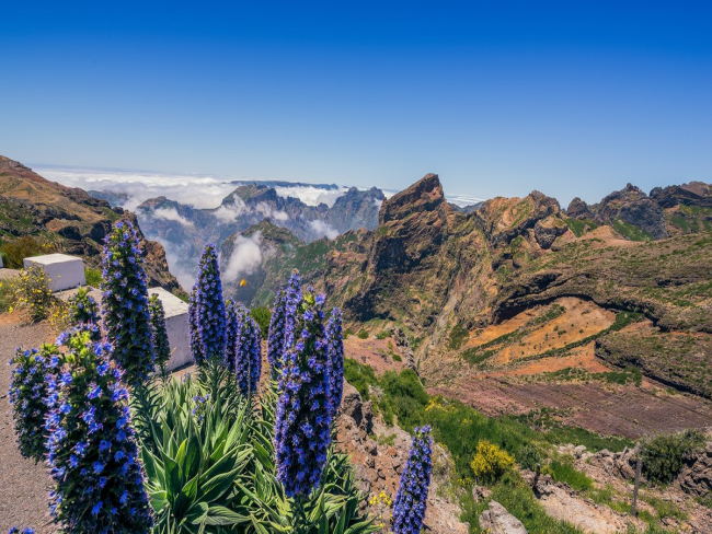 5 paisagens marcantes da Ilha da Madeira, em Portugal