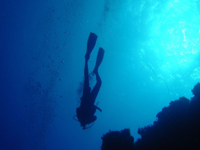 Saiba o que é doença de descompressão que matou turista em Fernando de Noronha